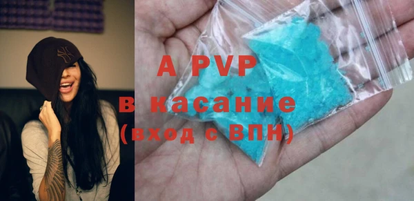 apvp Инта