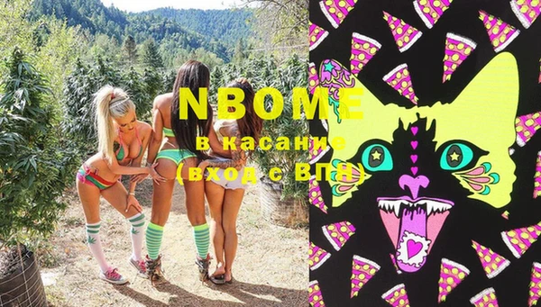 дурь Осташков