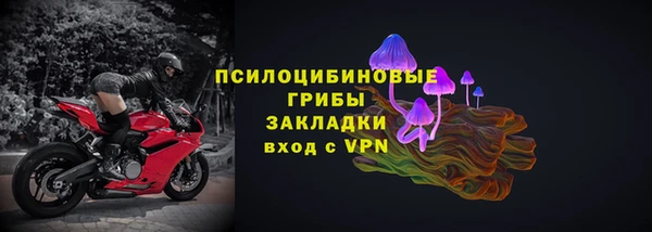 apvp Осинники
