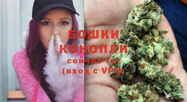 дурь Осташков