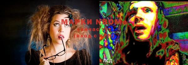 apvp Осинники