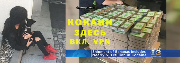 дурь Осташков