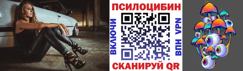 блэк спрут ONION  Агрыз  Псилоцибиновые грибы Psilocybine cubensis 