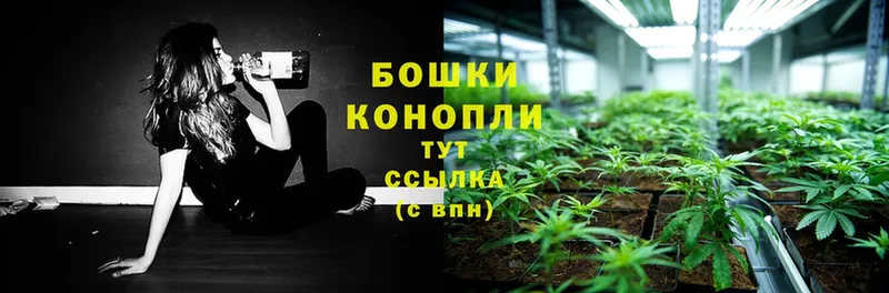 дарк нет как зайти  Агрыз  Конопля SATIVA & INDICA 